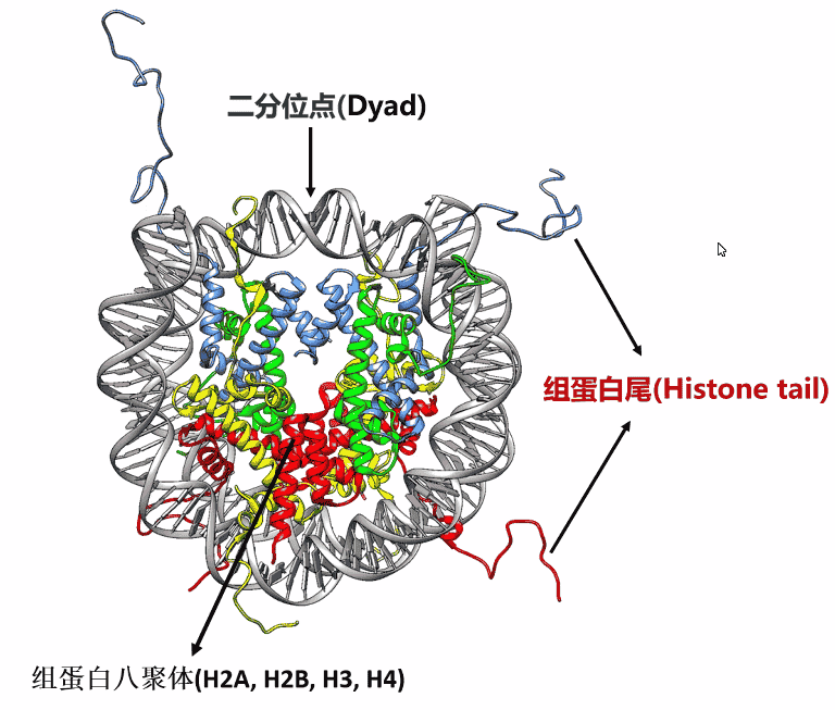 image-20260811151542397