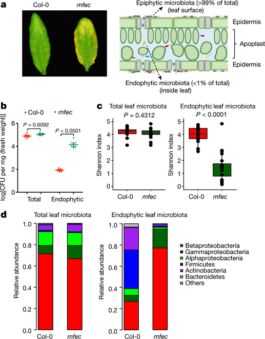 Fig1