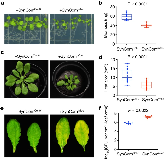 Fig3