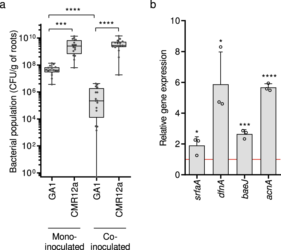 Fig3