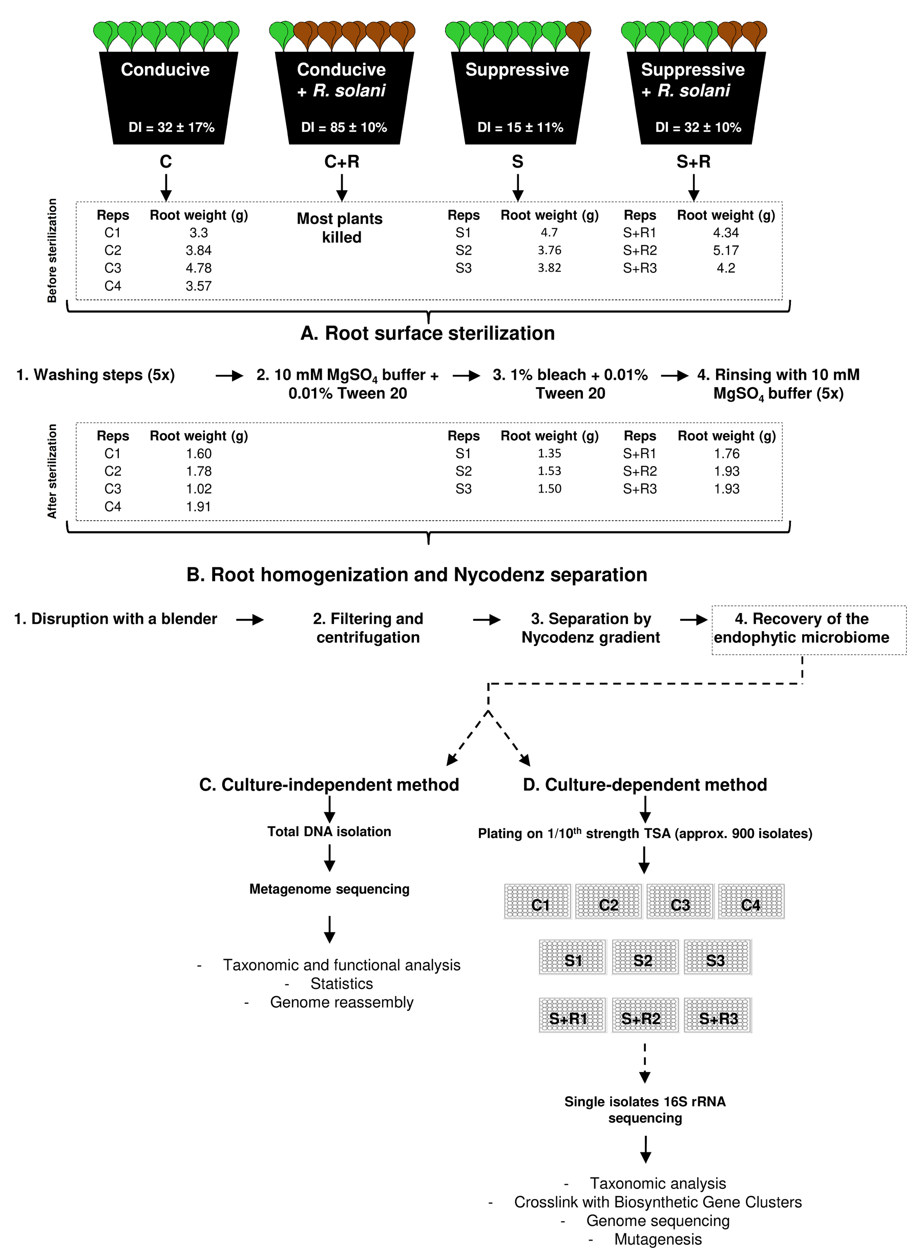 Science_2019_FigPathogen_induced_S1