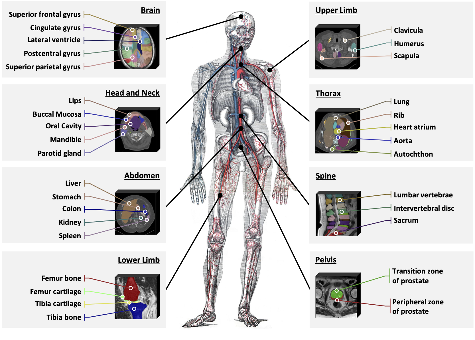 Example Figure