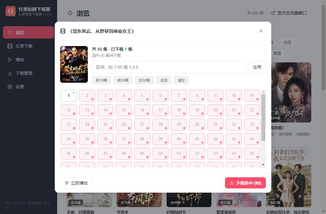 剧集详情