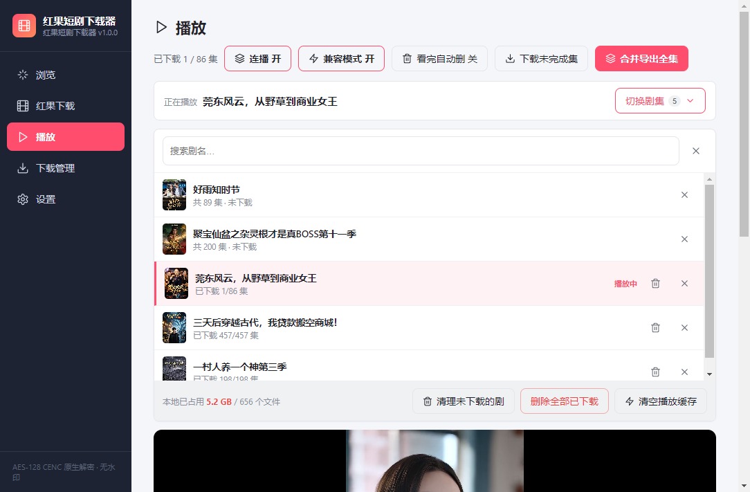 剧集管理面板