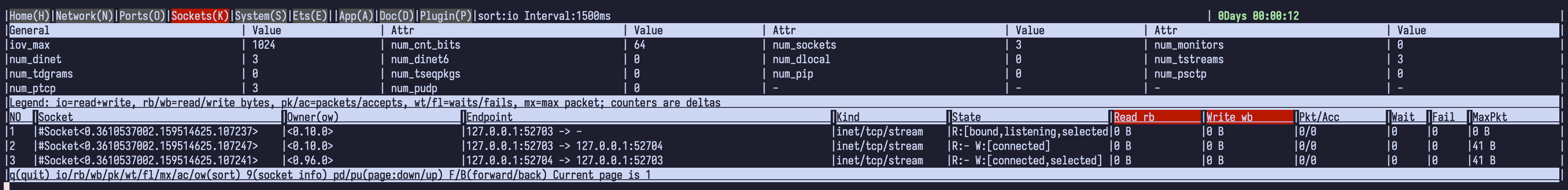 Sockets page showing registry totals, endpoints, socket states, and IO
counters
