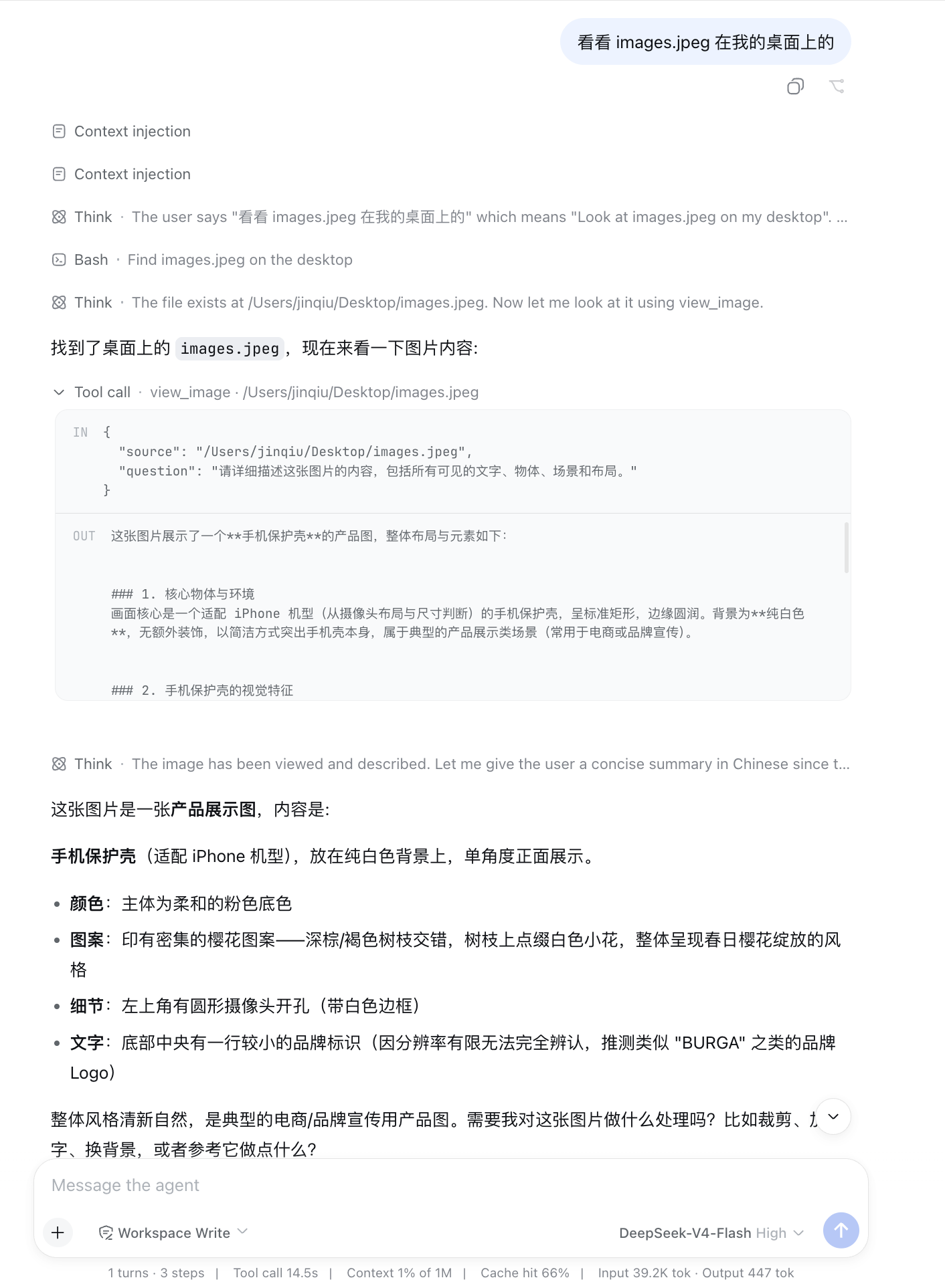 dsh web 会话:模型自主调用 view_image 并准确描述图片