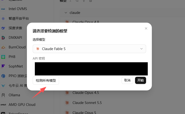 選擇要檢測的模型，API金鑰區域已完整遮蔽