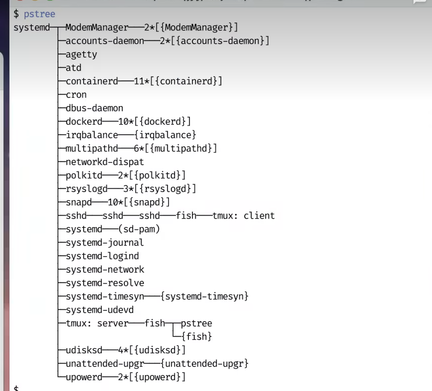 image-20230116121250112