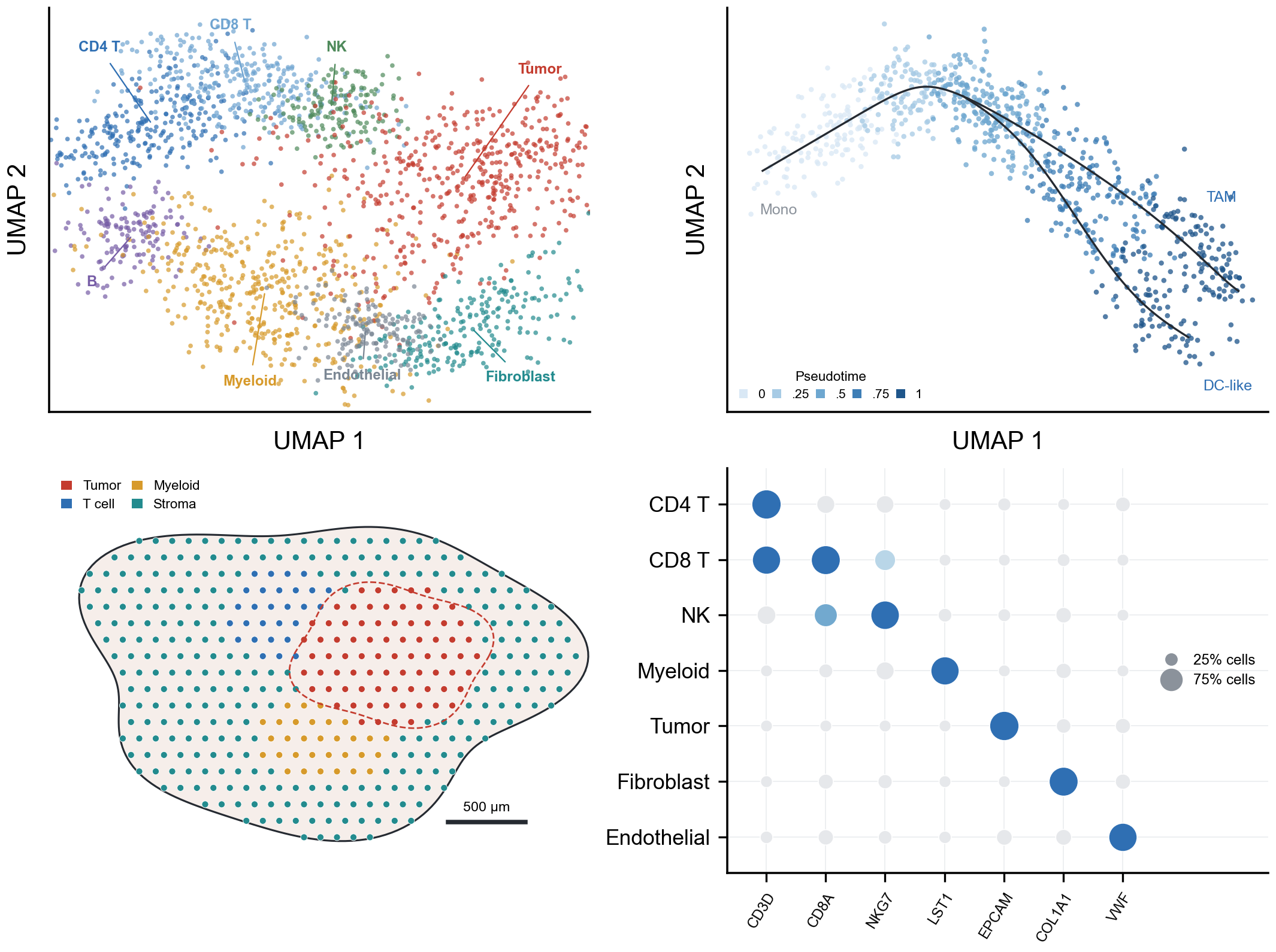 Single-cell and spatial atlas figure