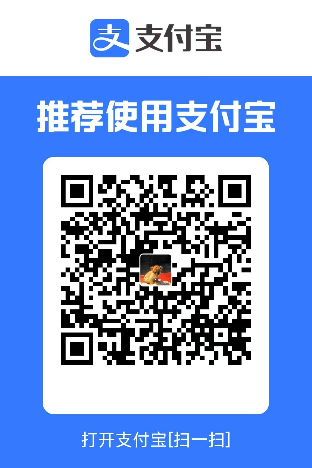 Support the project