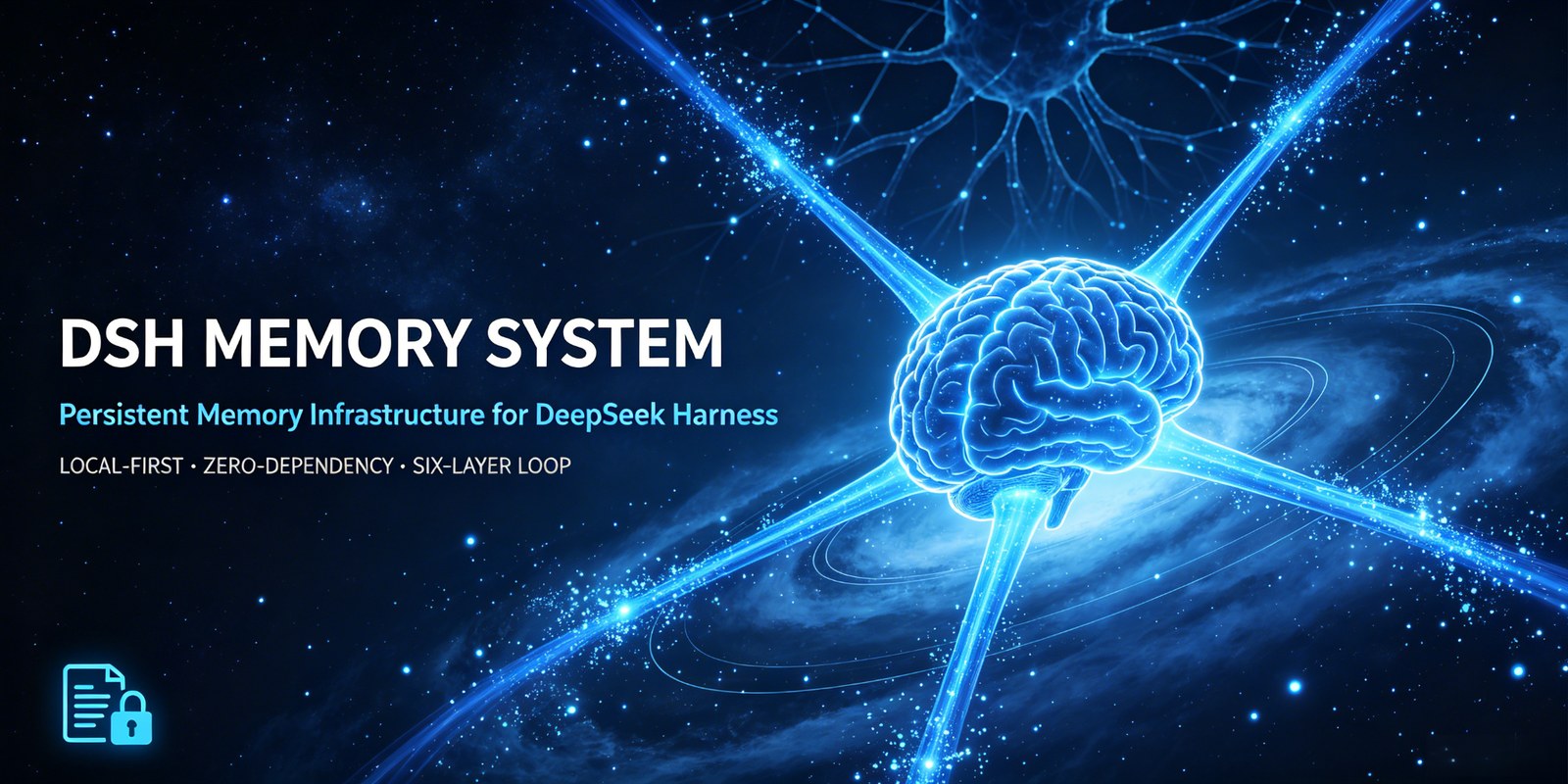 DSH Memory System