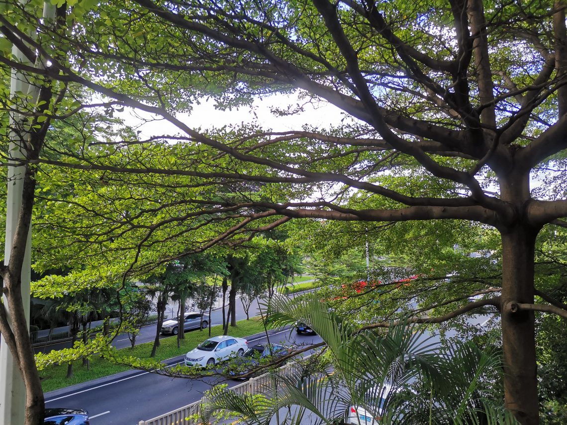 火锅聚餐后回家