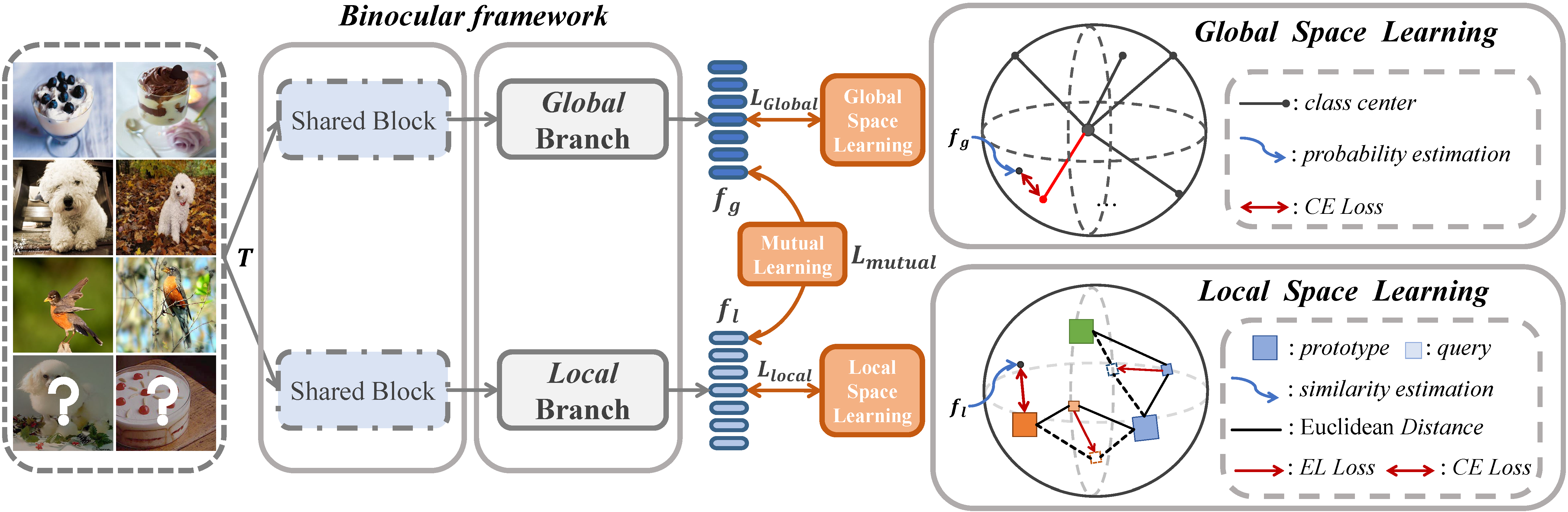 BML framework diagram