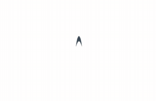 nolangz/pixel2motion