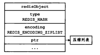 图 9 - ziplist 编码的哈希对象