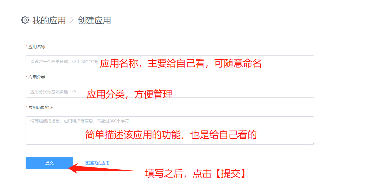 填写应用信息