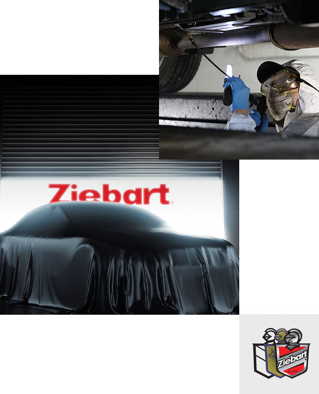 Ziebart Workshop Service