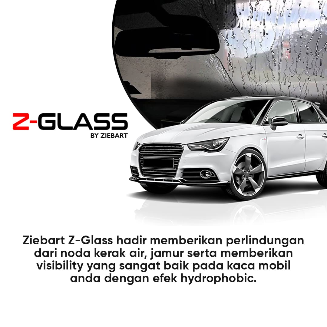 Z-GLASS