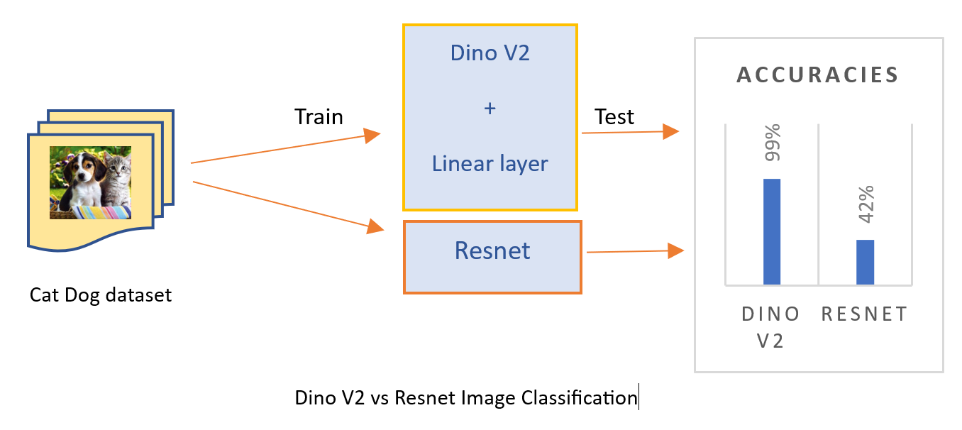 Classification