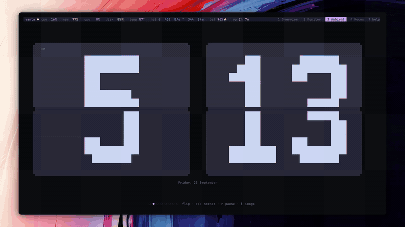 Orbit Live Demo