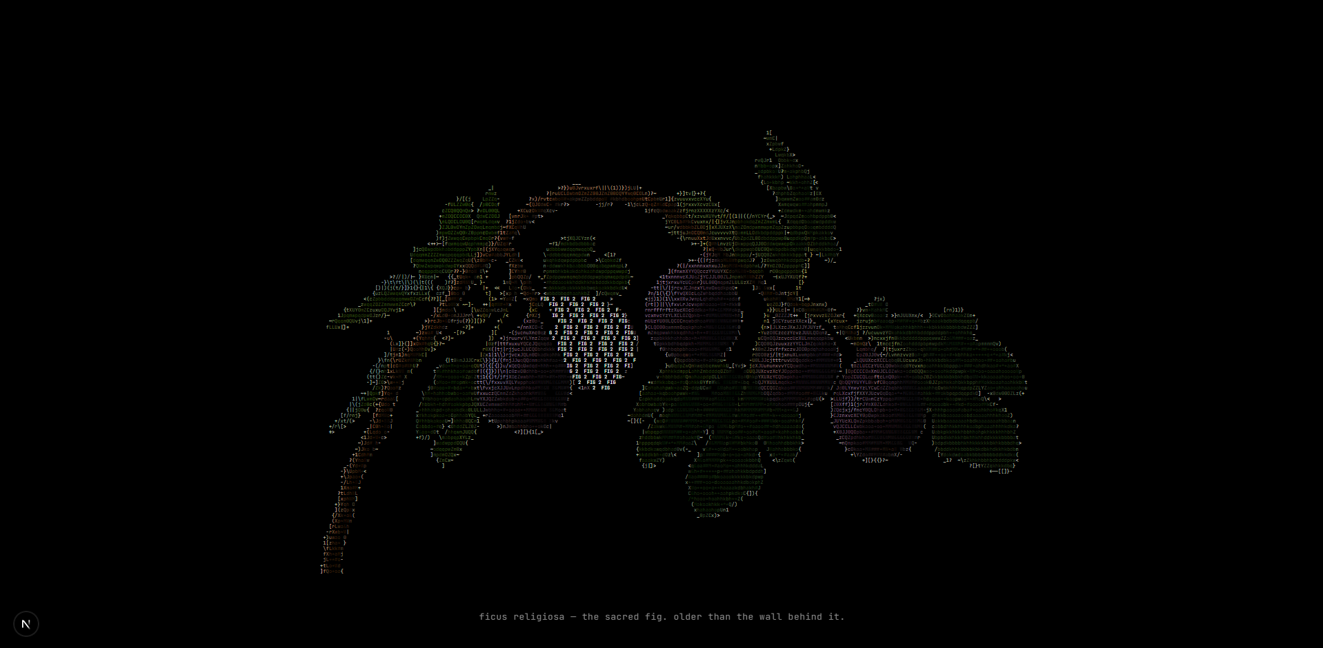 Inklet rendering ASCII art of two figs in React, with one region hovered — its characters replaced by the label "FIG 2" and a caption below reading "ficus religiosa — the sacred fig. older than the wall behind it."