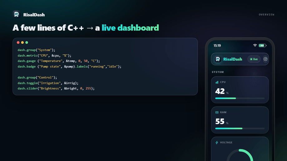 A few lines of C++ become a live RisalDash dashboard