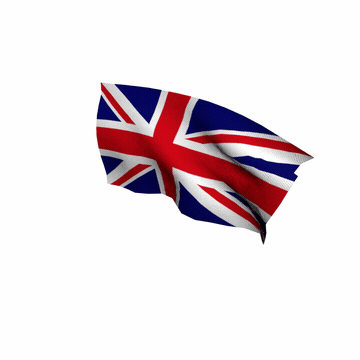 DiffWind Flag demo