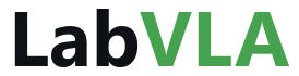 LabVLA