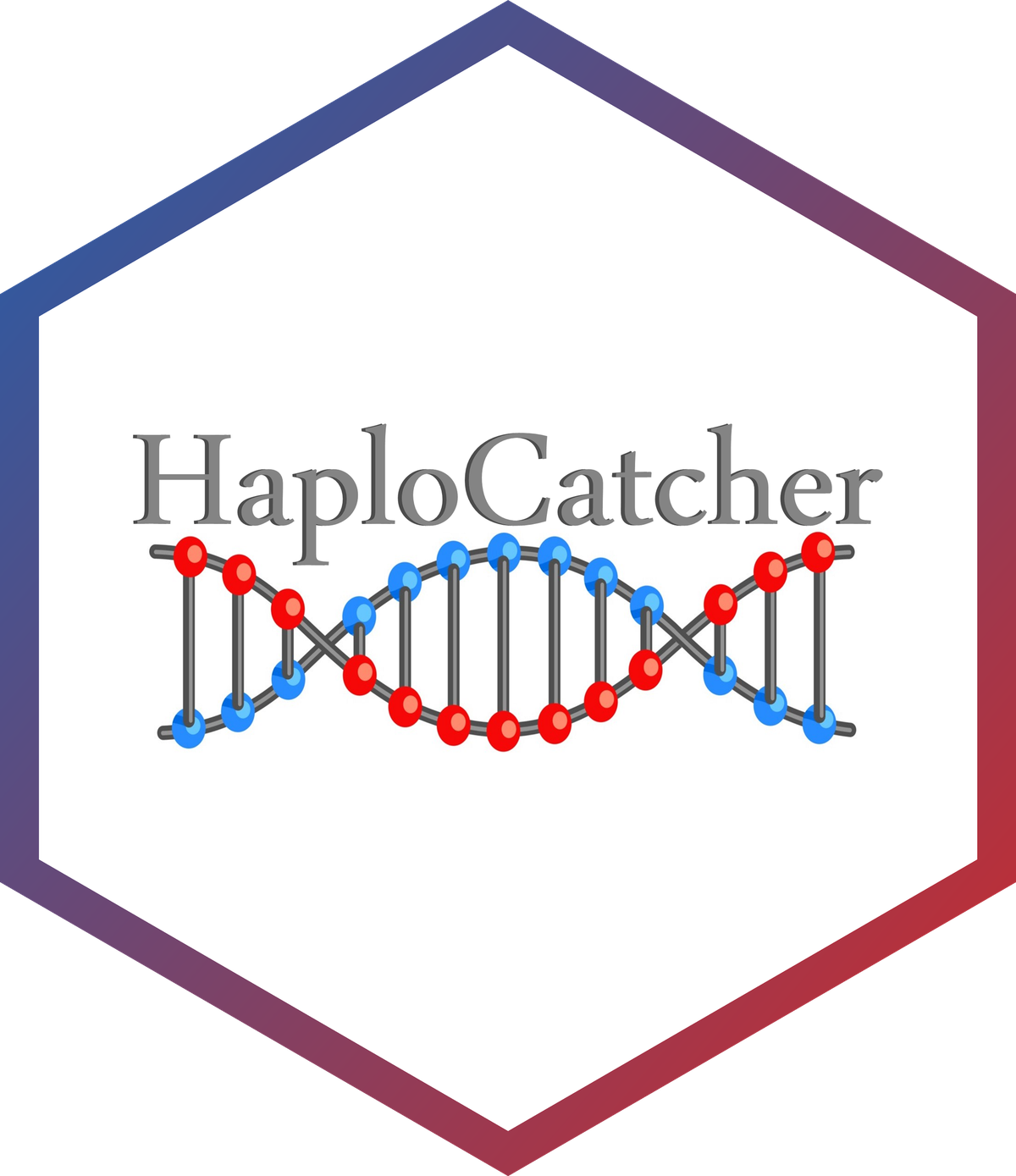 HaploCatcher hex logo