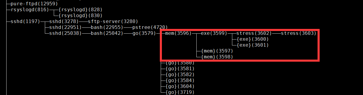 image-20210901204754246