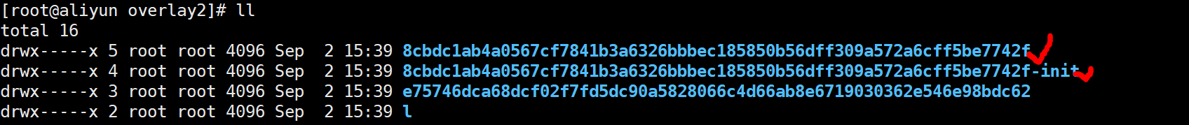 image-20210902155523593