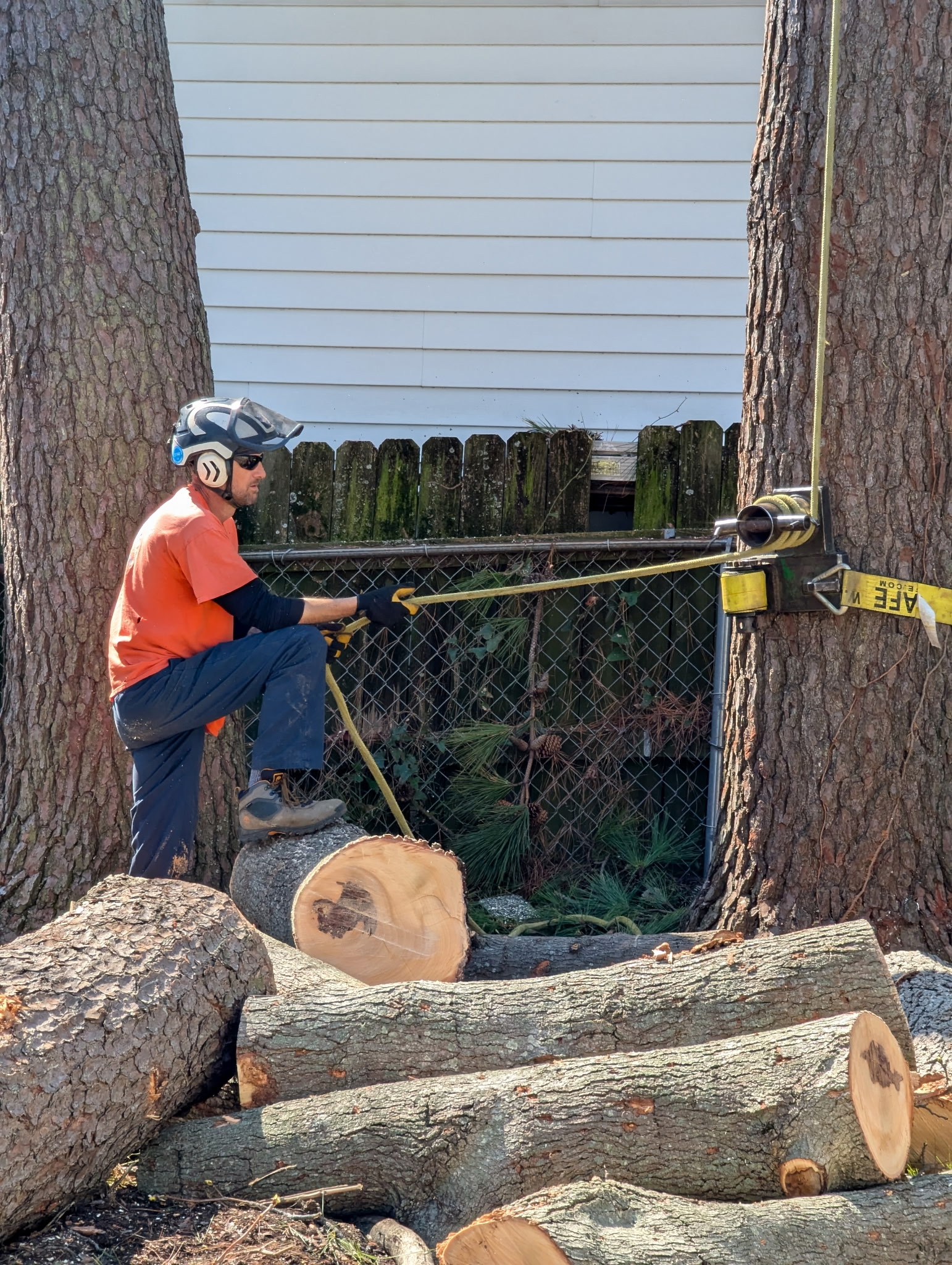 Tree removal truck serving Suffolk, VA