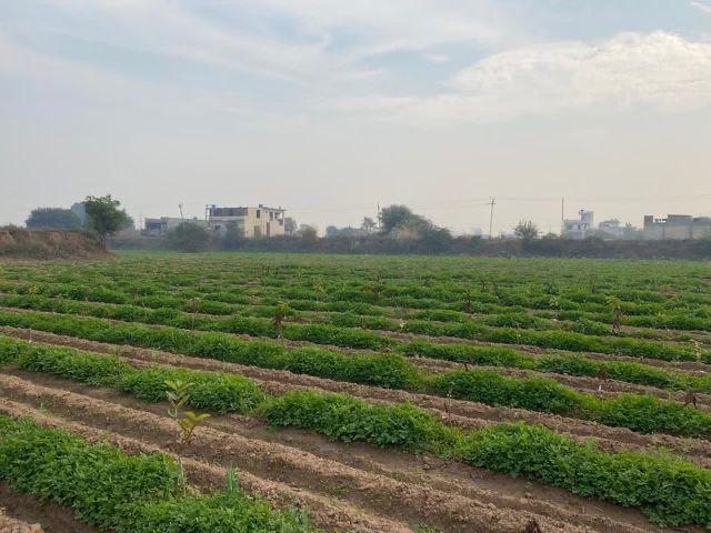 Agriventure Farm