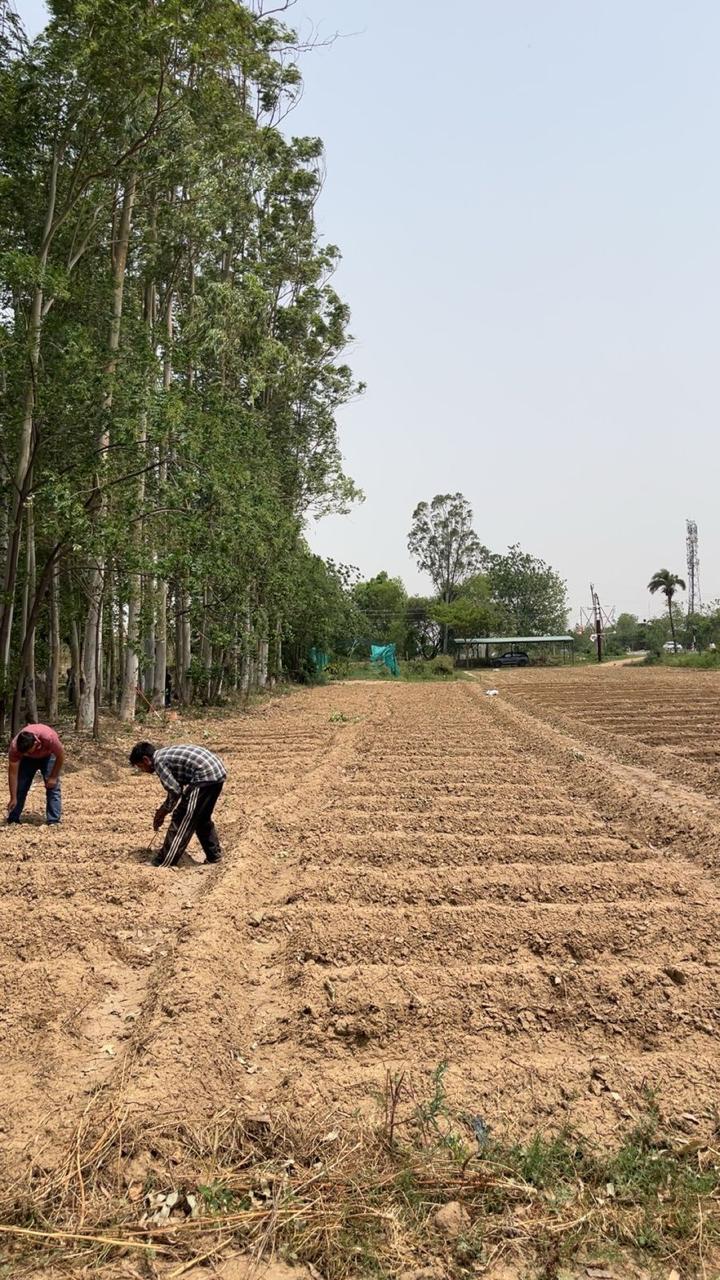 Agriventure Farm View