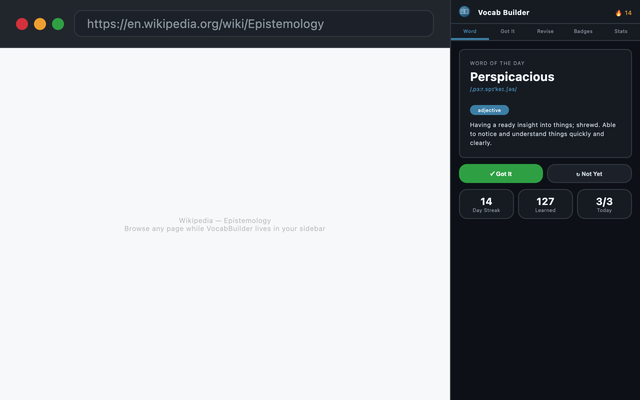 VocabBuilder progress and badge view