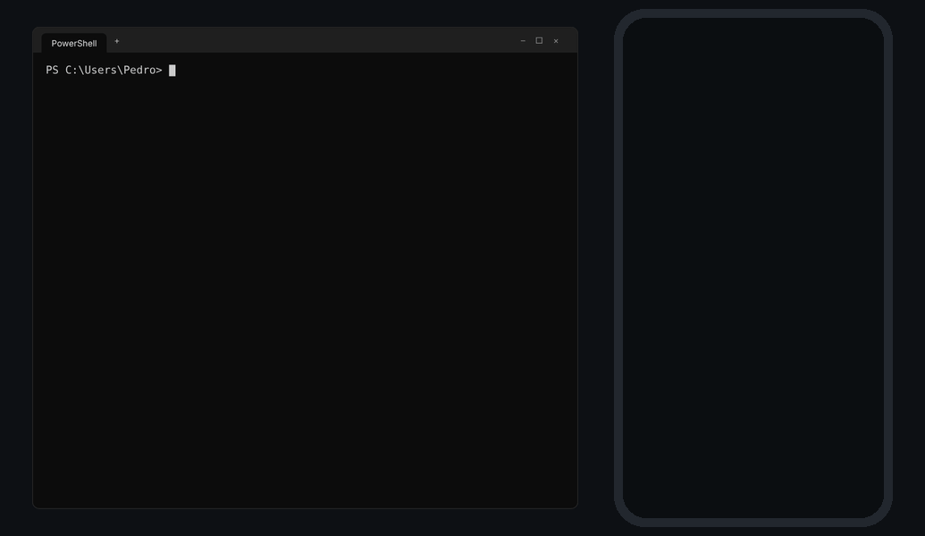 demo
