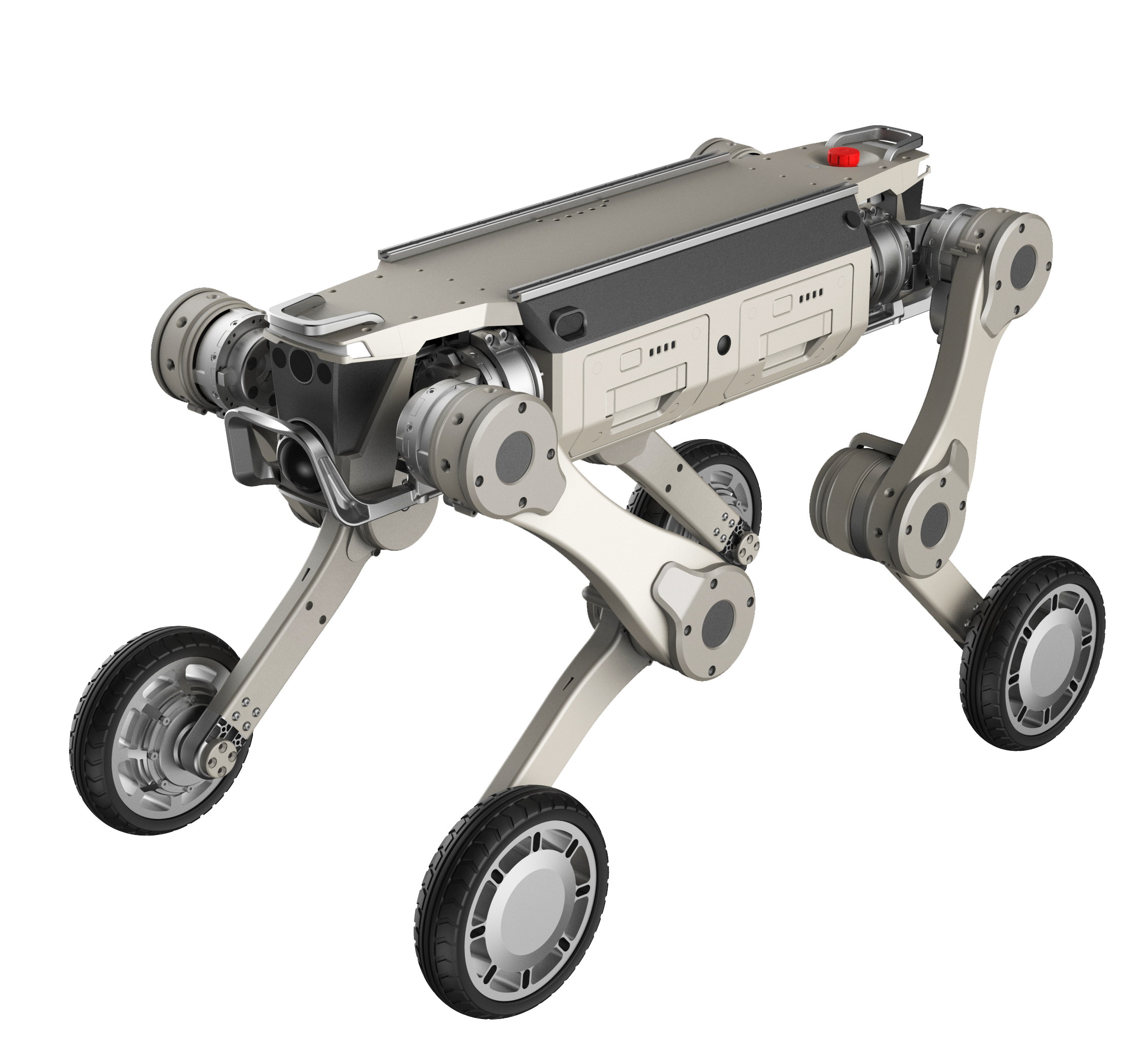 zgws robot