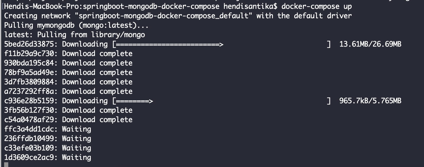 Docker Compose UP