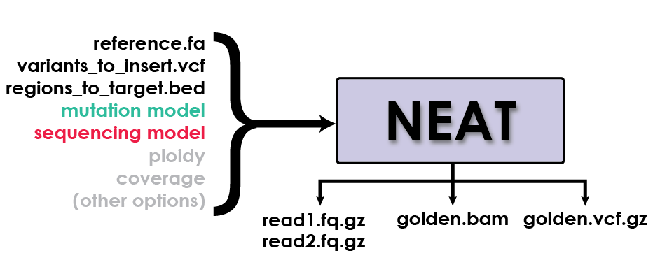 Diagram describing the way that genReads simulates datasets