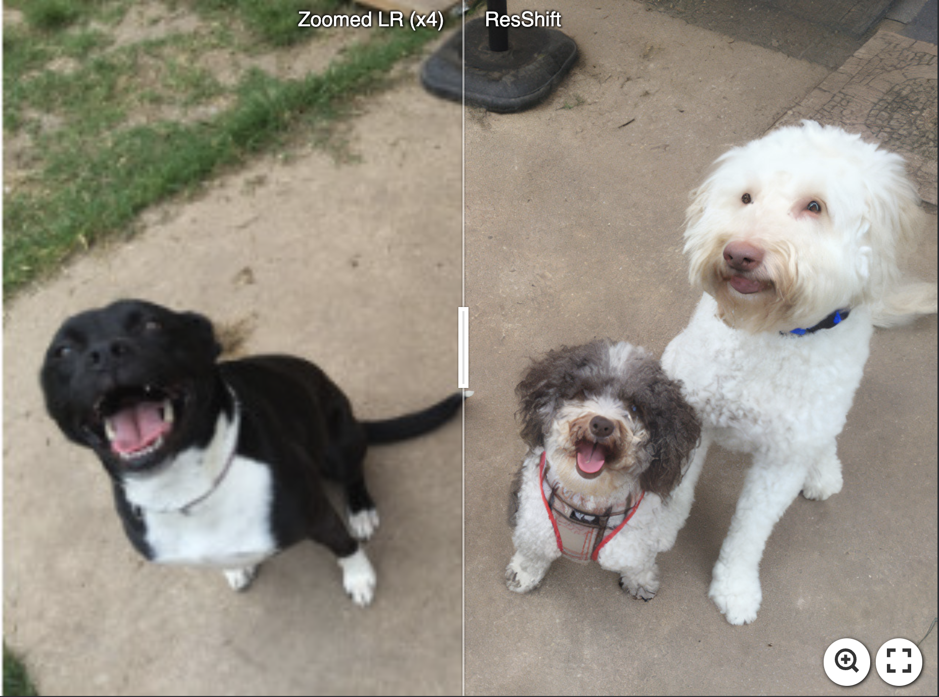 dog2.png