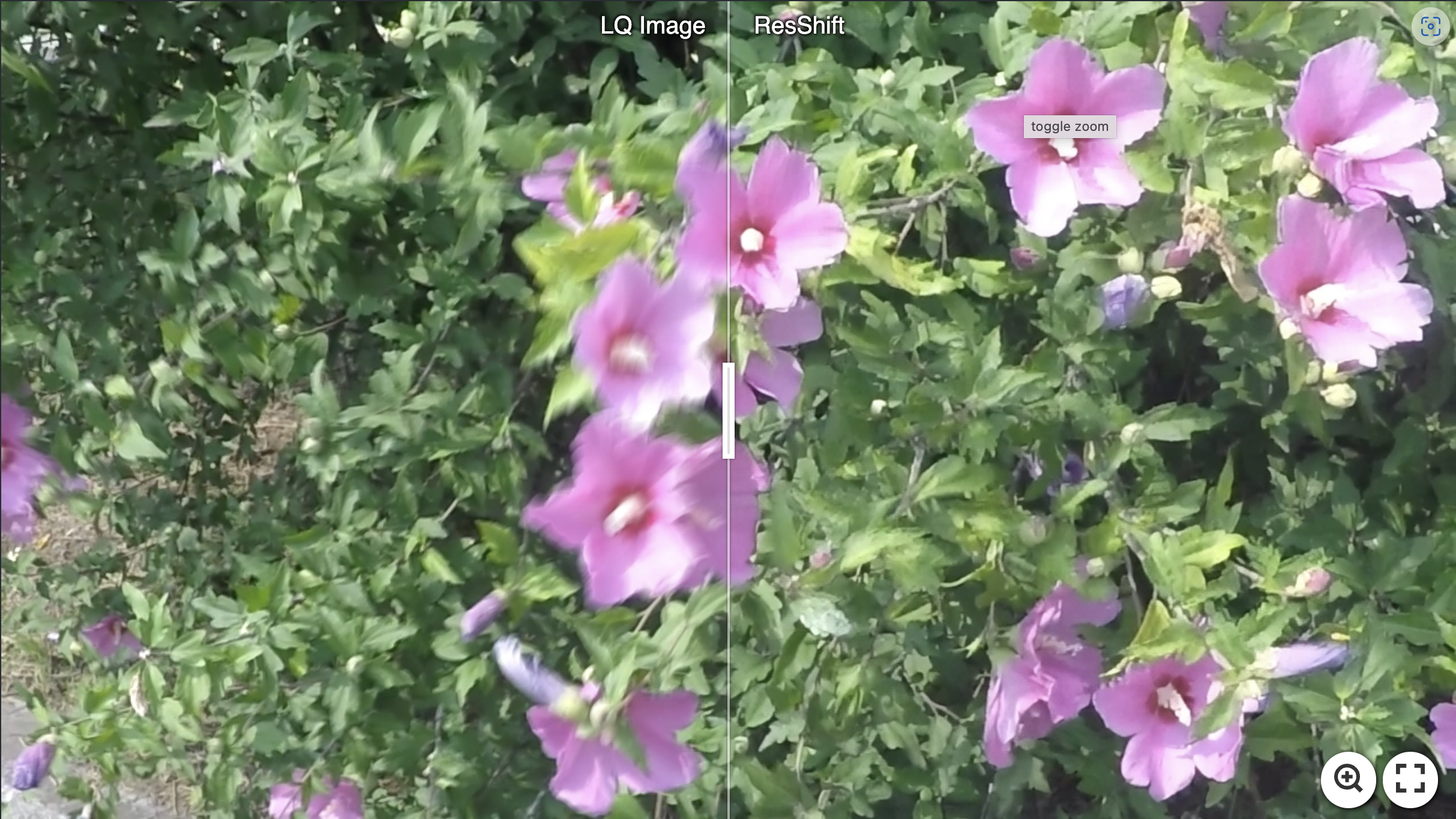 gopro_301.png