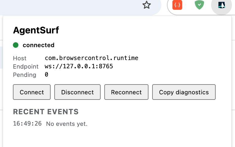 npm run setup 成功后 AgentSurf 扩展显示 connected
