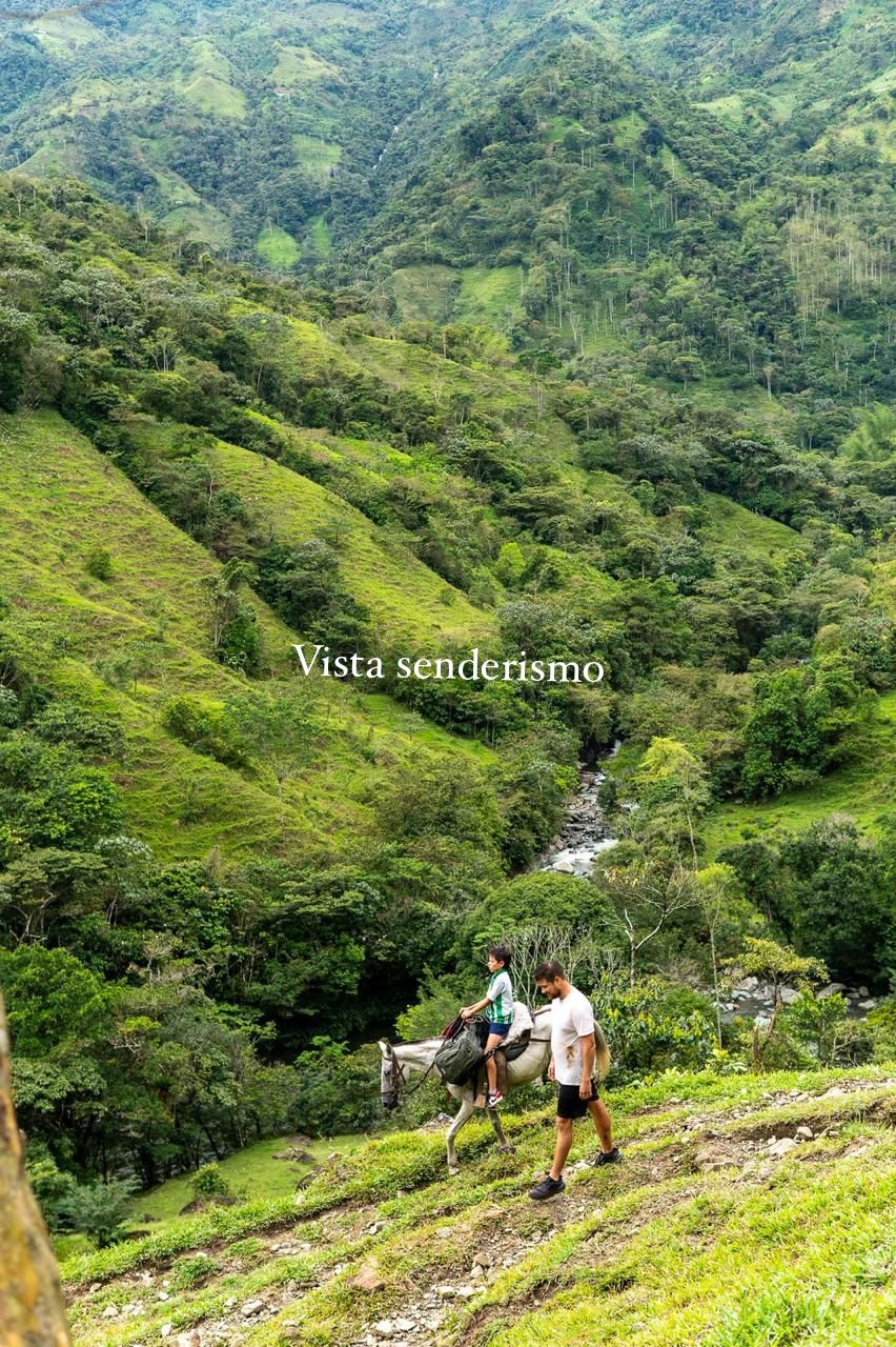 Valle de las Cascadas 14