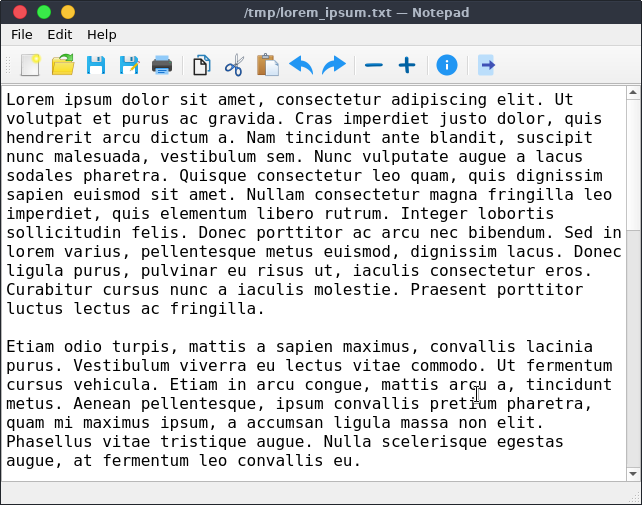 Screenshot of Linux build