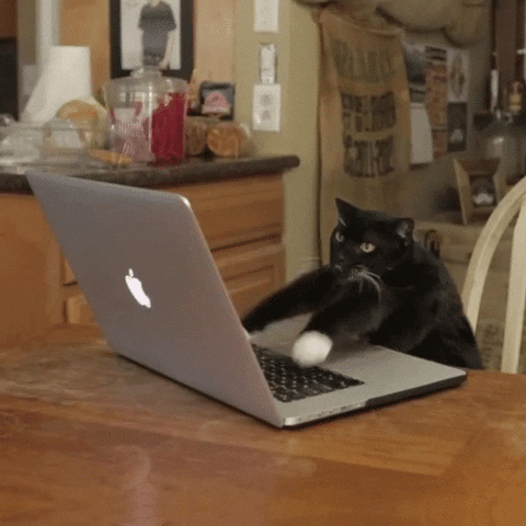 meow-coding