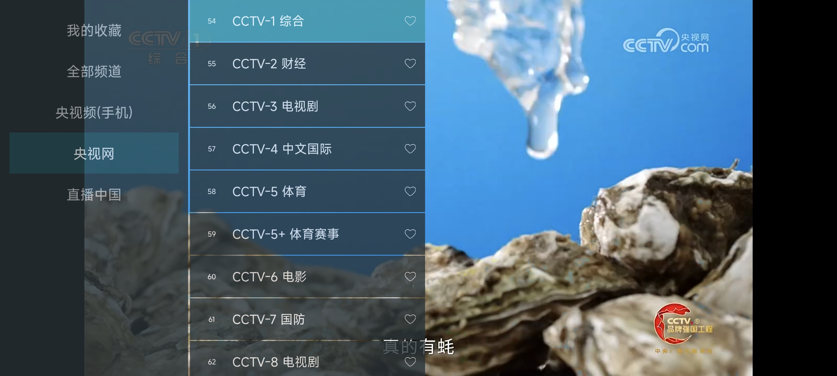主页