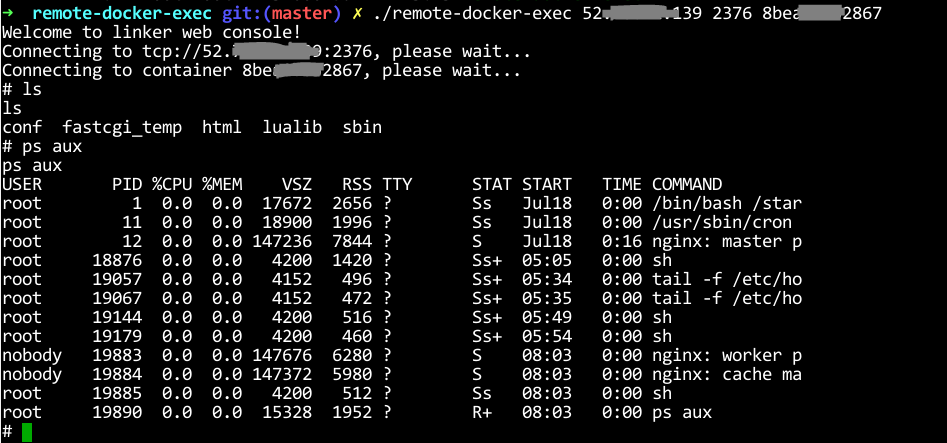 GitHub Zyfdegh remote docker exec Access Docker Daemon API Create And Run Command Act Like 