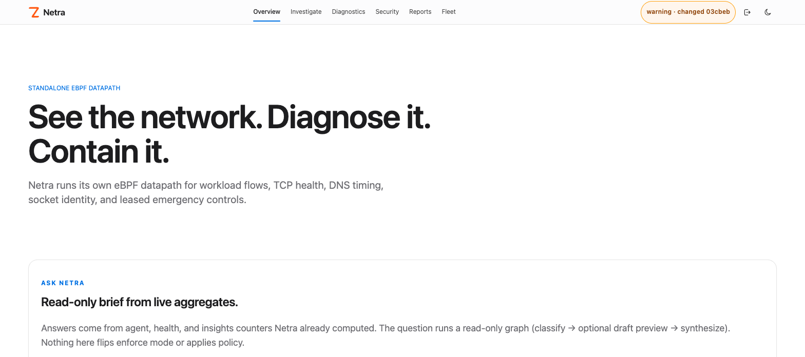 Netra dashboard — Overview