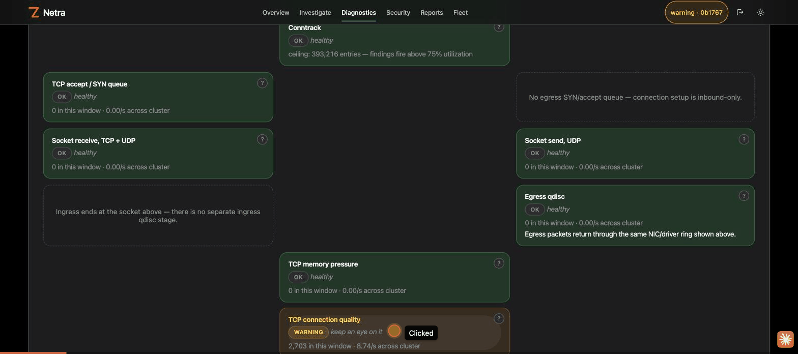 Netra live demo — Congestion Map finding to live packet capture