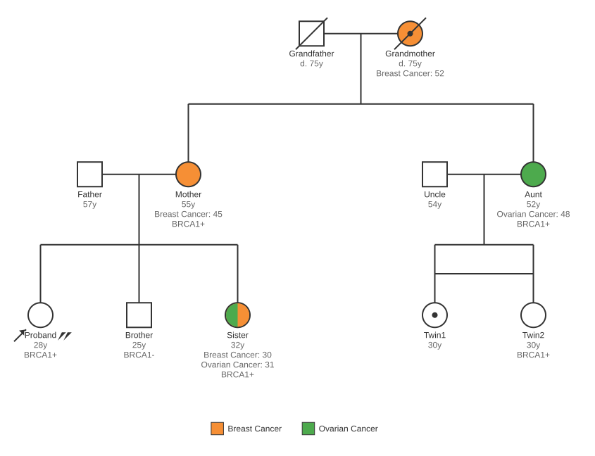 Example Pedigree
